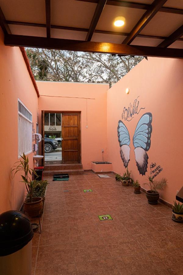 Wild Olive Guest House Ика Экстерьер фото