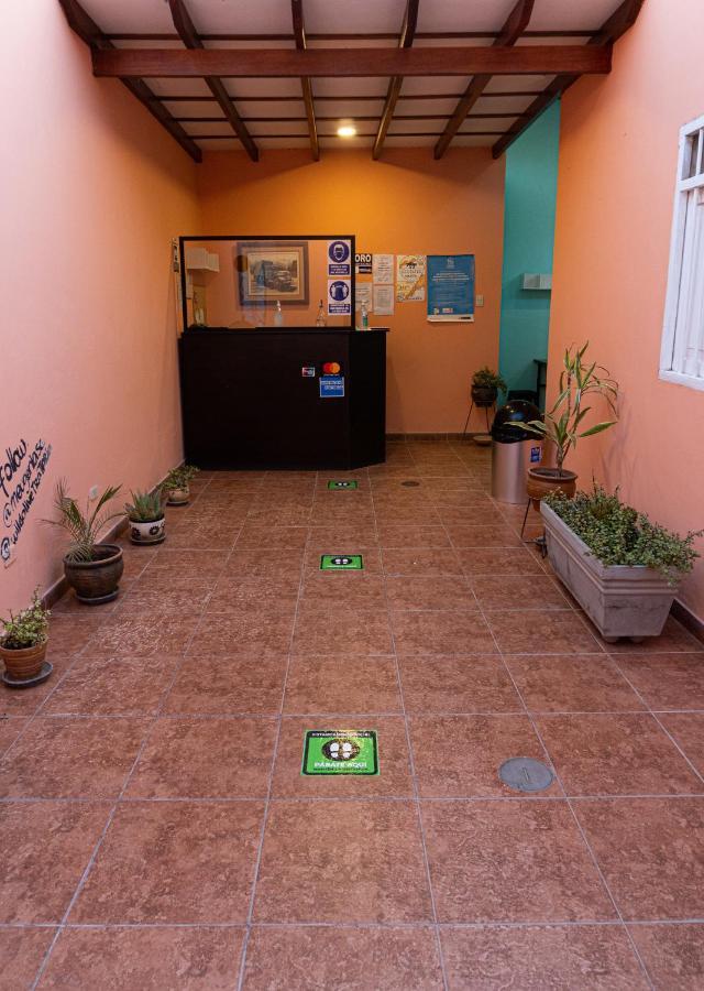 Wild Olive Guest House Ика Экстерьер фото
